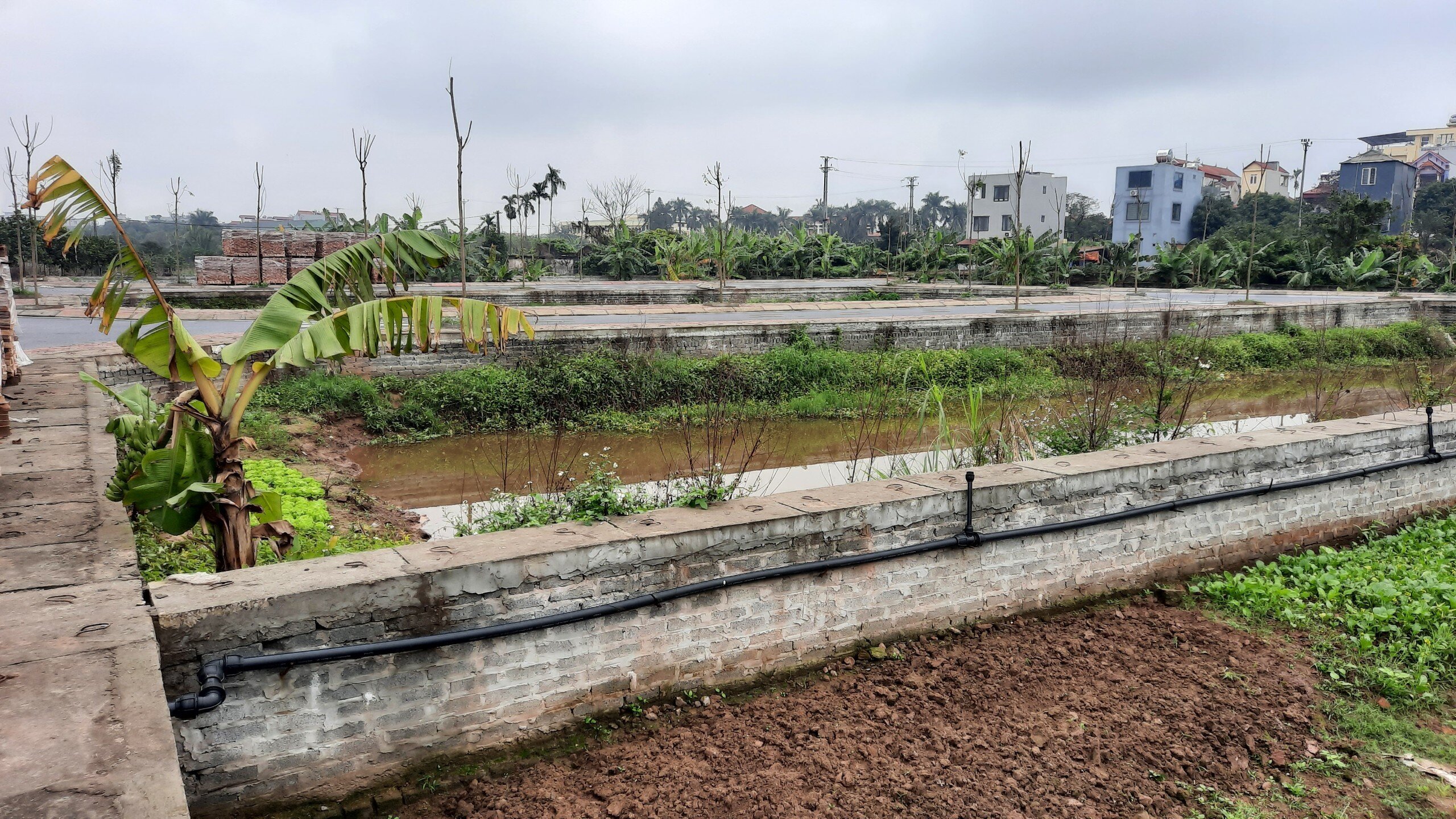 Đồng thời, xử phạt vi phạm hành chính đối với hành vi cho người không đủ điều kiện tham gia đấu giá tham gia cuộc đấu giá với hình thức xử phạt hành chính 15 triệu đồng với công ty này.