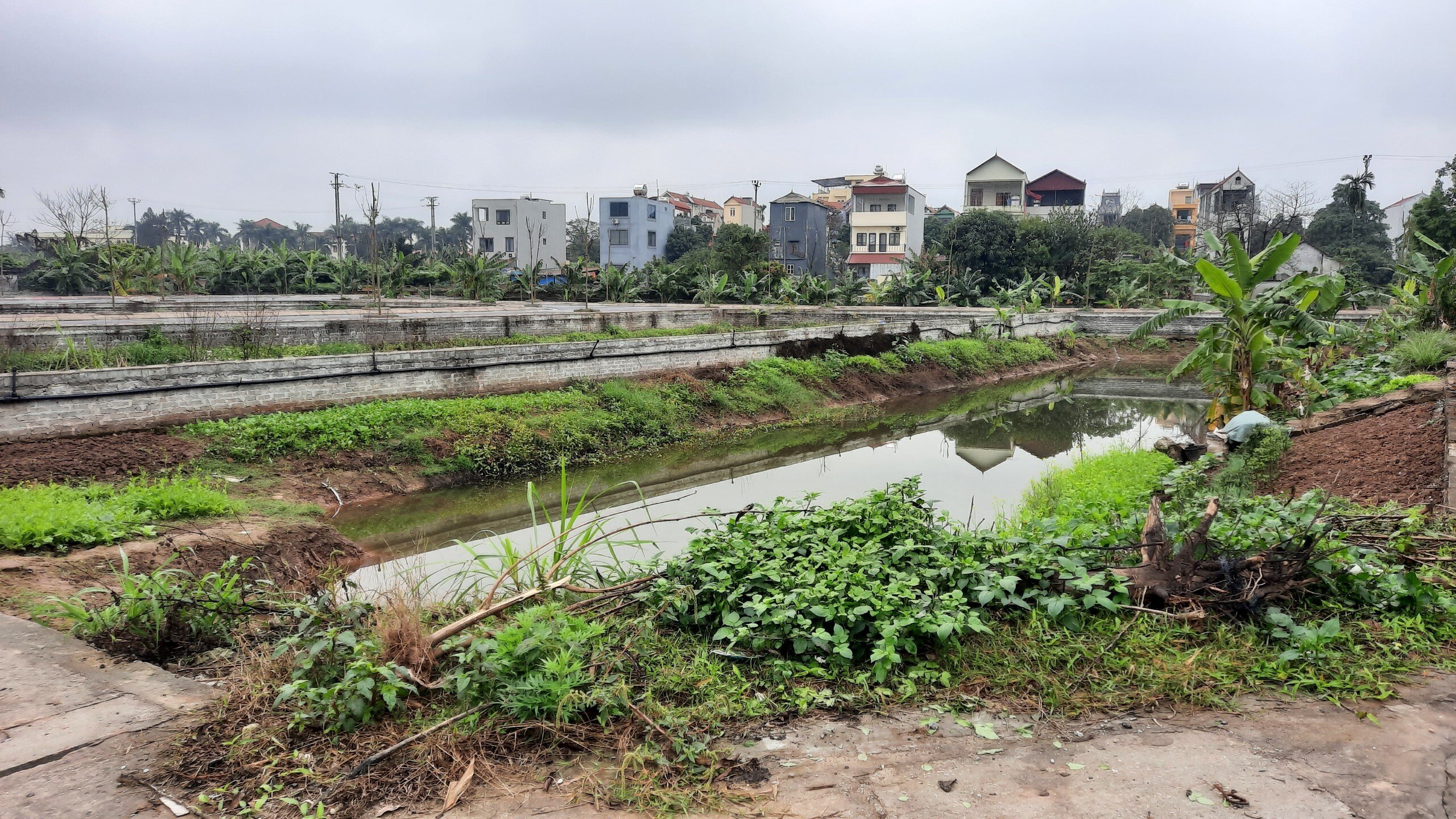 Mặt bằng tại các khu đất này vẫn chưa được tôn nền, đa phần các lô, thửa đất vẫn trũng thấp như ao hồ.
Theo một người dân từng đấu giá đất thành công thửa đất tại đây cho biết, giá đất hiện tại ở khu đất này cao hơn từ 10 đến 15% với giá khi đấu giá thành công. Rất nhiều thửa đã có sự mua đi bán lại.