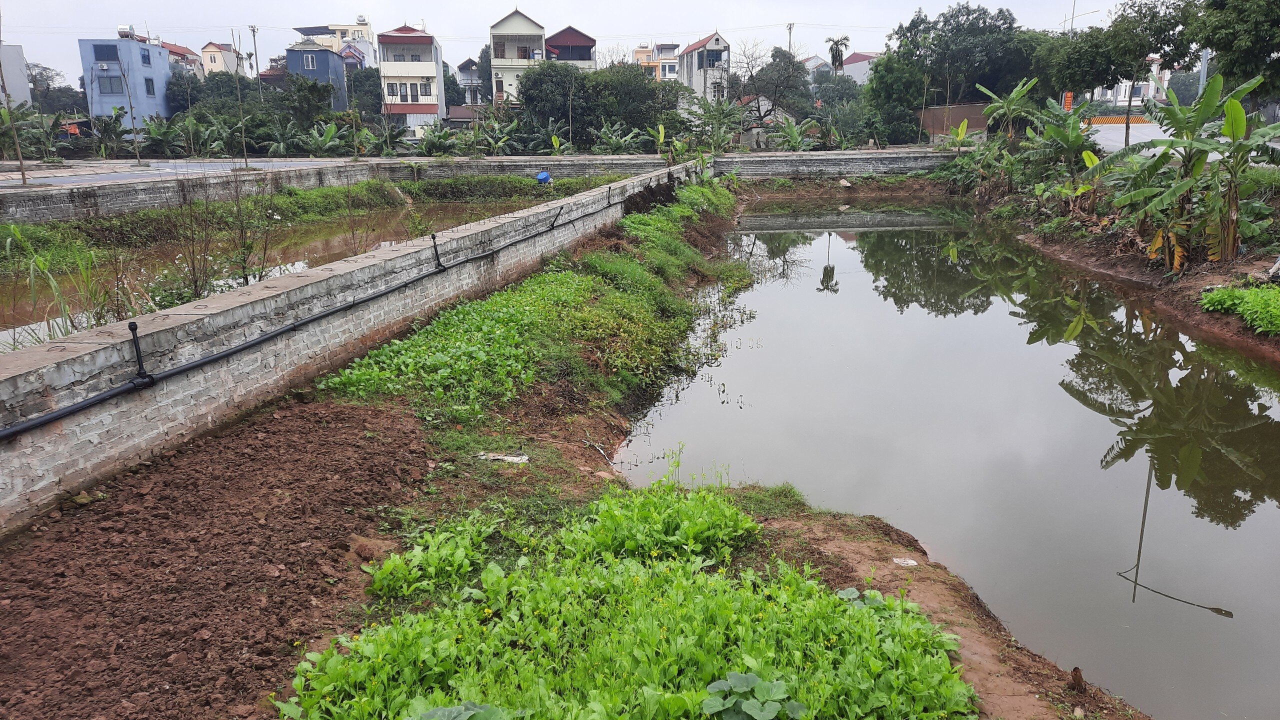 Tổng số thửa đất tham gia đấu giá là 48 thửa đất được chia thành 12 lô. Tổng diện tích trúng đấu giá: 3.333,7 m2. Tổng số tiền theo giá khởi điểm: 69 tỷ 920 triệu đồng. Tổng số tiền trúng đấu giá: 130 tỷ 764 triệu 960 nghìn đồng.