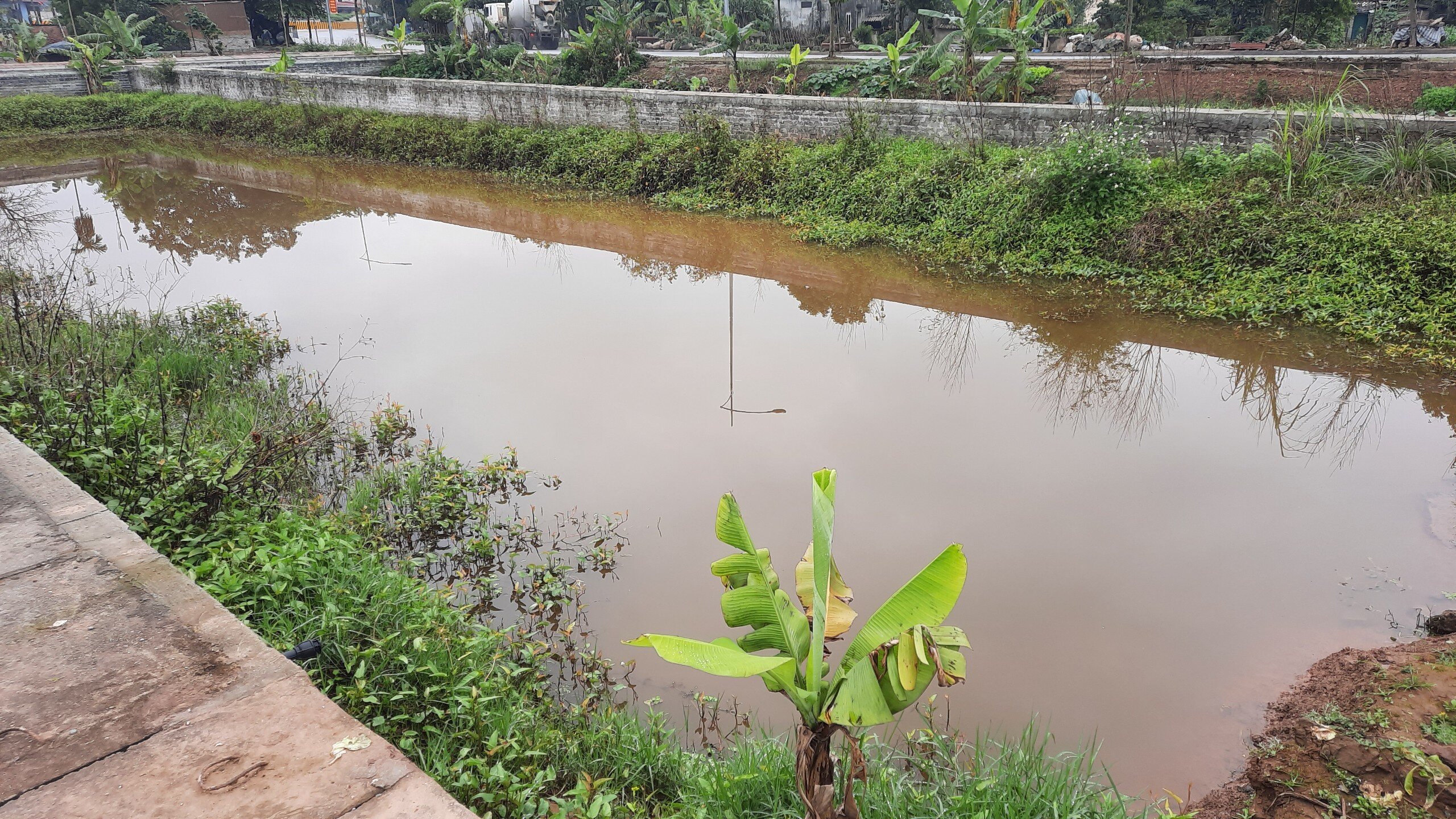 Được biết, thay vì thực hiện theo yêu cầu của Cục Bổ trợ tư pháp là hủy kết quả đấu giá 26 lô đất thì huyện Đan Phượng lại xin được "hợp thức hóa vi phạm" bằng cách đề nghị Cục Bổ trợ tư pháp không yêu cầu hủy kết quả đấu giá này.