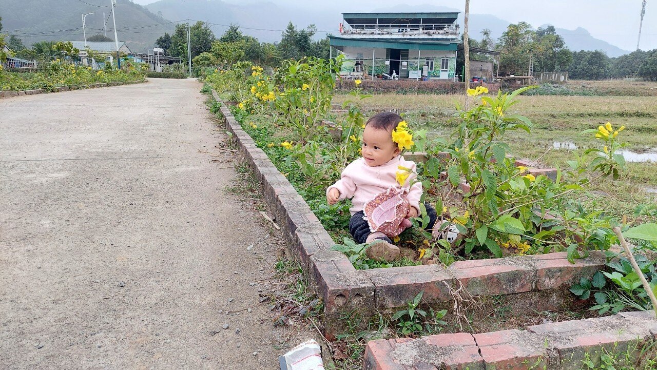Cùng với sự quan tâm của các ngành, các cấp về hạ tầng giao thông, chuyển đổi cơ cấu cây trồng, vật nuôi, đời sống của bà con các dân tộc xã Hải Sơn, TP Móng Cái nói chung, thôn Pò Hèn nói riêng ngày càng khởi sắc. Ảnh: Một em bé thỏa sức vui đùa bên đường hoa mới trồng vào xóm Họ Đặng khi theo cha, mẹ đến nơi này.