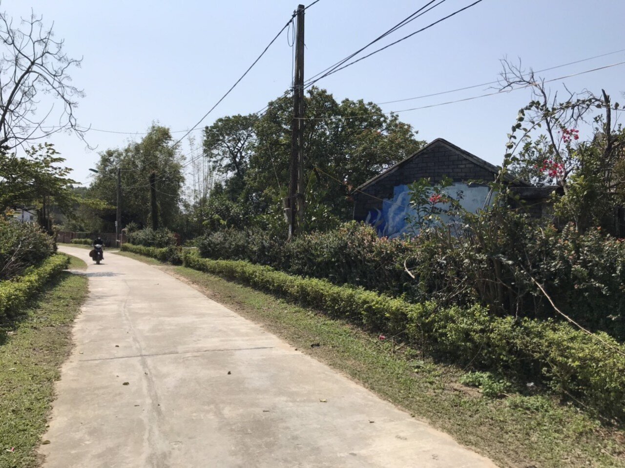 Giao thông đến làng bích họa được đầu tư, tạo thuận lợi cho người dân và du khách đi lại.