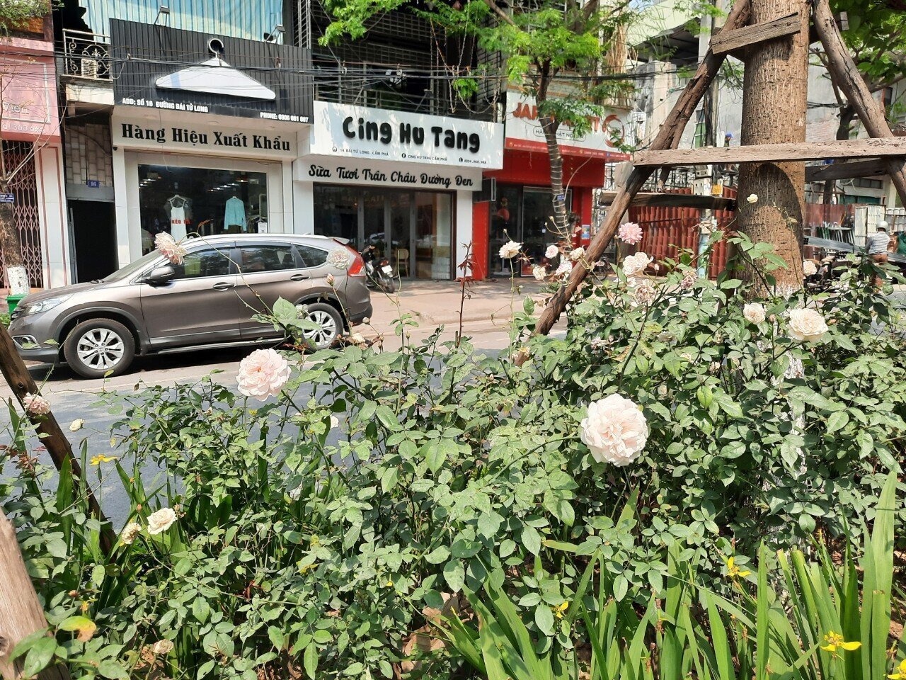 "Để tuyến đường hoa đẹp được như h&ocirc;m nay, ch&iacute;nh quyền đ&atilde; vận động người d&acirc;n tr&ocirc;ng nom, đồng thời ngăn chặn c&aacute;c h&agrave;nh vi bẻ c&agrave;nh, h&aacute;i hoa, vứt r&aacute;c bừa b&atilde;i", &ocirc;ng Ho&agrave;n n&oacute;i.