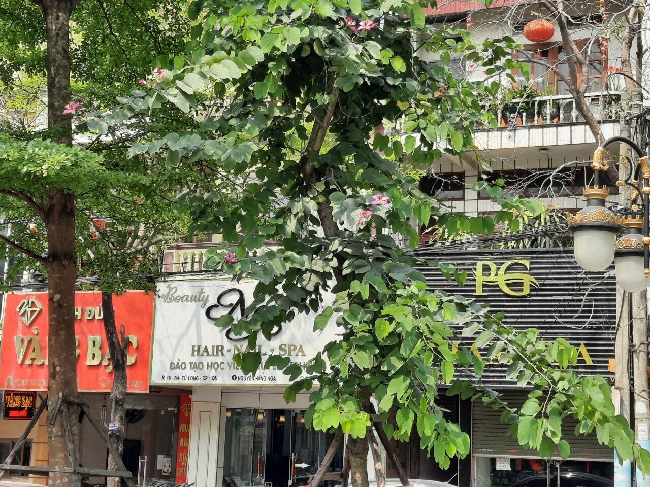 Những rặng c&acirc;y ban vừa cho b&oacute;ng m&aacute;t, vừa đem lại cảnh quan tươi đẹp cho tuyến đường.