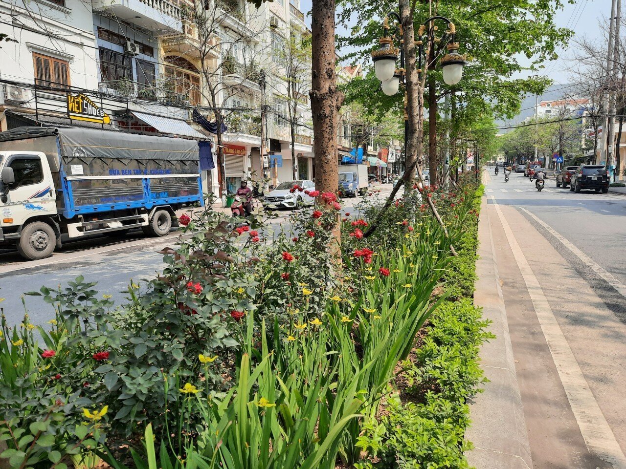 Bằng sự chung tay, g&oacute;p sức của nh&acirc;n d&acirc;n, đến nay, tuyến đường vừa c&oacute; h&agrave;ng c&acirc;y ban cho b&oacute;ng m&aacute;t, ph&iacute;a dưới được trồng xen kẽ những luống hoa hồng đỏ, v&agrave;ng, trắng&hellip; rung rinh khoe sắc.