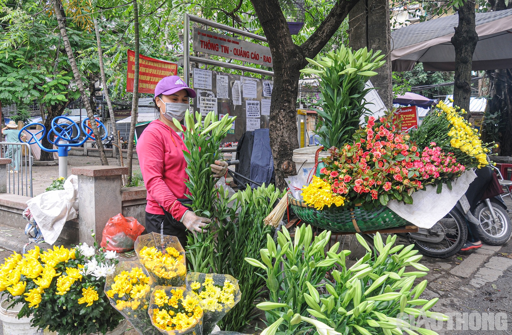 Như mọi ngày, chị Nguyễn Thị Huê (Đan Phượng) vẫn bận rộn chuẩn bị hoa tươi để chuẩn bị cho khách.