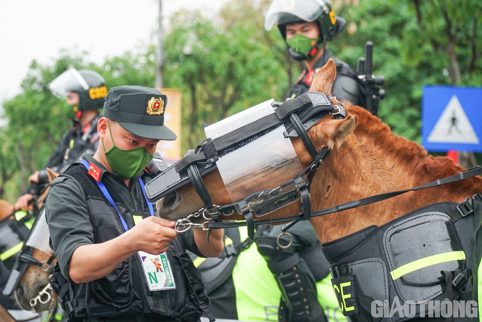 Chiến sĩ CSCĐ kiểm tra trang bị bảo hộ cho những chú ngựa.
