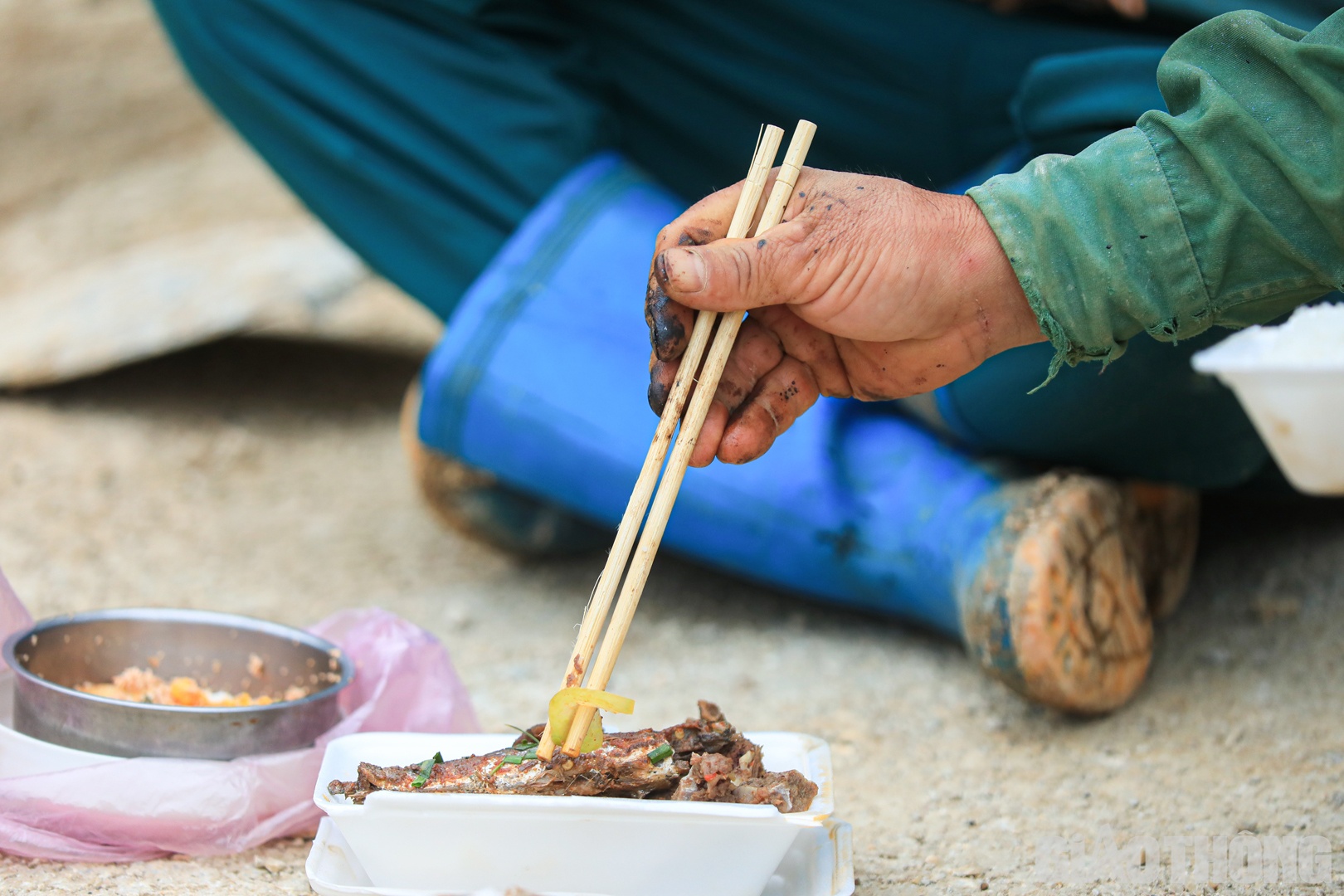 Bữa cơm của những người công nhân thời vụ chỉ đạm bạc với vài ngọn rau, cá mắm... mức giá trung bình 20.000 đồng/suất.