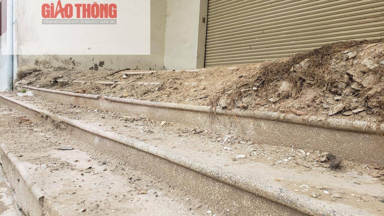 Nói về nguyên nhân khu chợ bỏ hoang, một tiểu thương gần chợ chia sẻ: "Do giá mặt bằng thuê ở siêu thị chợ Cuối quá cao, mặt khác siêu thị này cách xa mặt đường chính, không thuận tiện cho việc mua bán của người dân. Vì vậy, tiểu thương chấp nhận kinh doanh tại khu chợ tạm lụp xụp ngay bên cạnh".