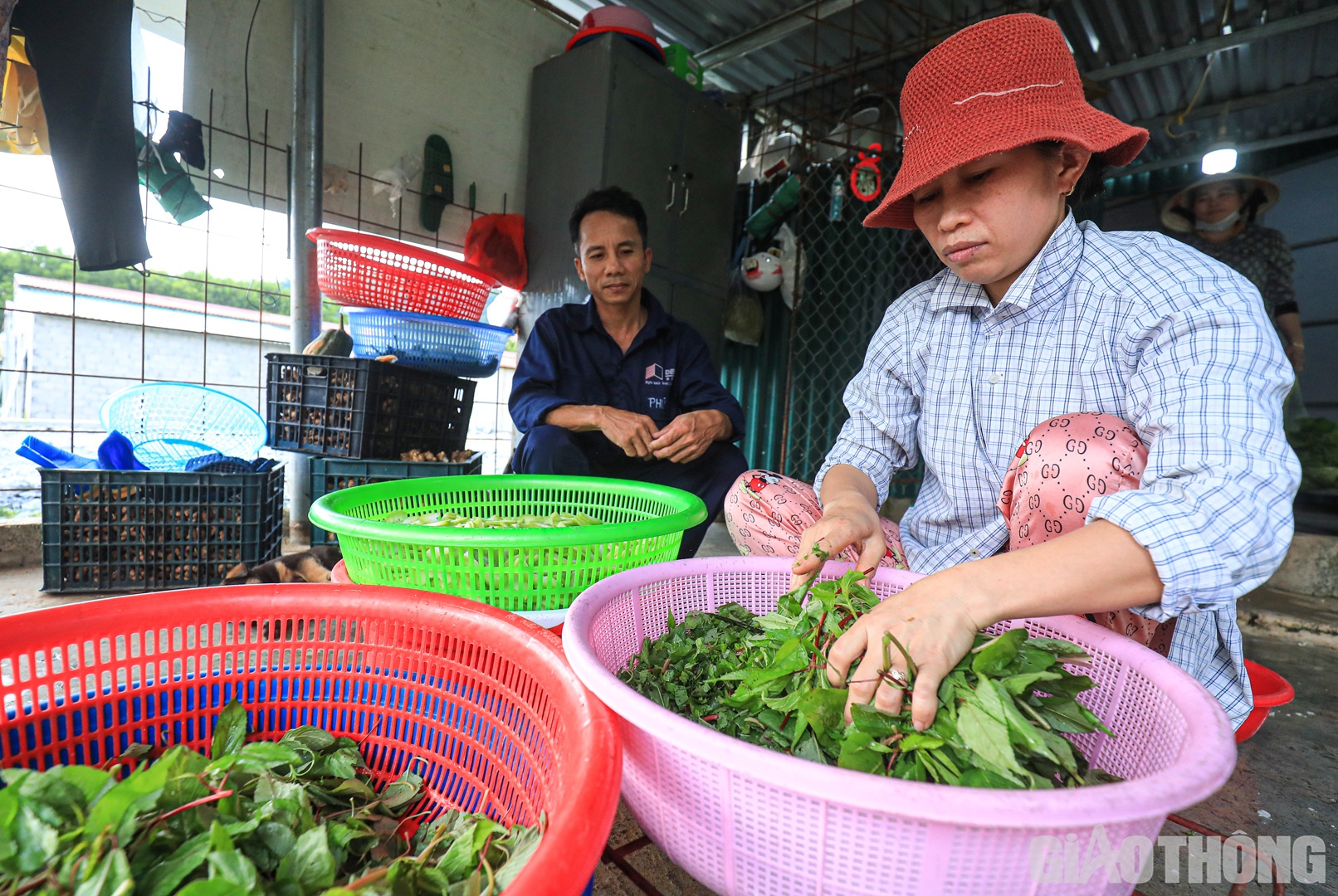 Nhiều tháng qua, tại công trường hầm Trường Vinh nhắc nhiều đến sự xuất hiện của “chị nuôi” Lê Thị Vinh cùng chồng tham gia cống hiến làm hầm cao tốc. 
Bên căn bếp công trường, chia sẻ về sự “bén duyên” của hai vợ chồng với cao tốc Bắc - Nam, chị Vinh, người phụ nữ mang dáng vẻ “sương gió”, già dặn hơn cái tuổi 41 của mình cho biết, bản thân bắt đầu đến với hầm Trường Vinh từ tháng 10/2021.