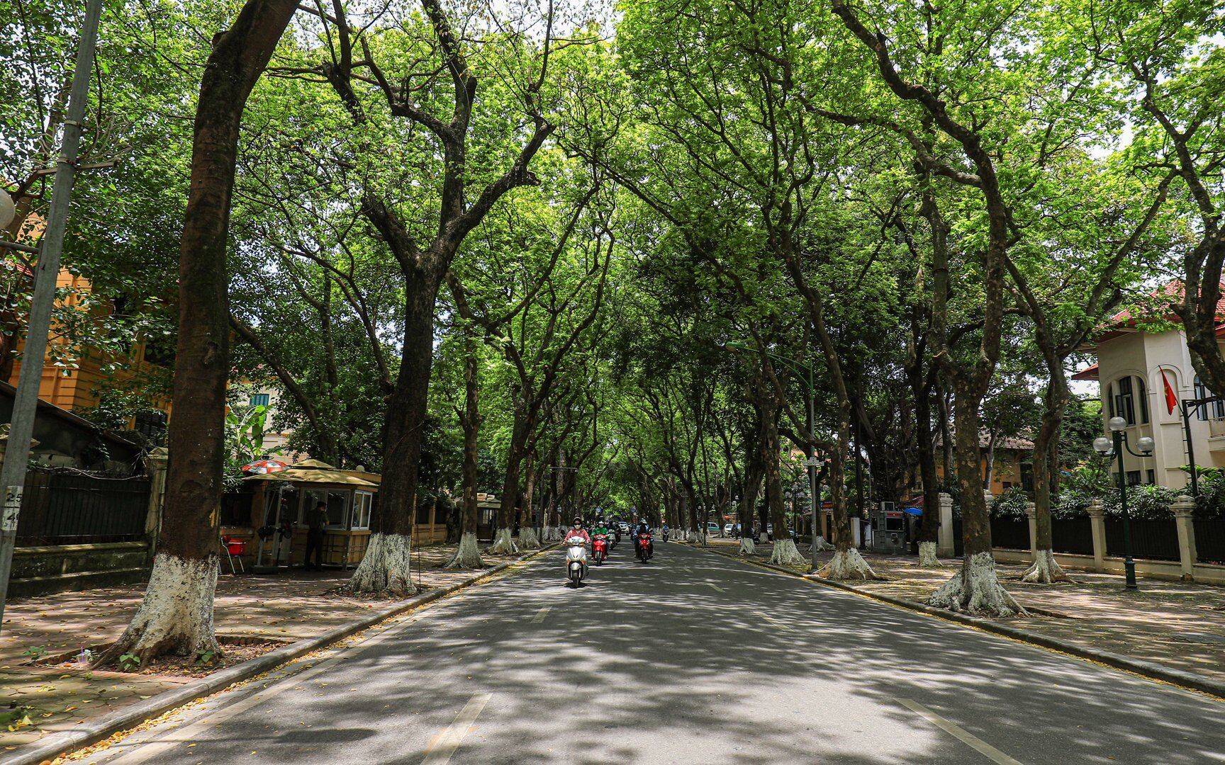 Đường Phan Đình Phùng rợp bóng cây xanh nhưng cũng rất ít người tham gia giao thông vào buổi trưa.