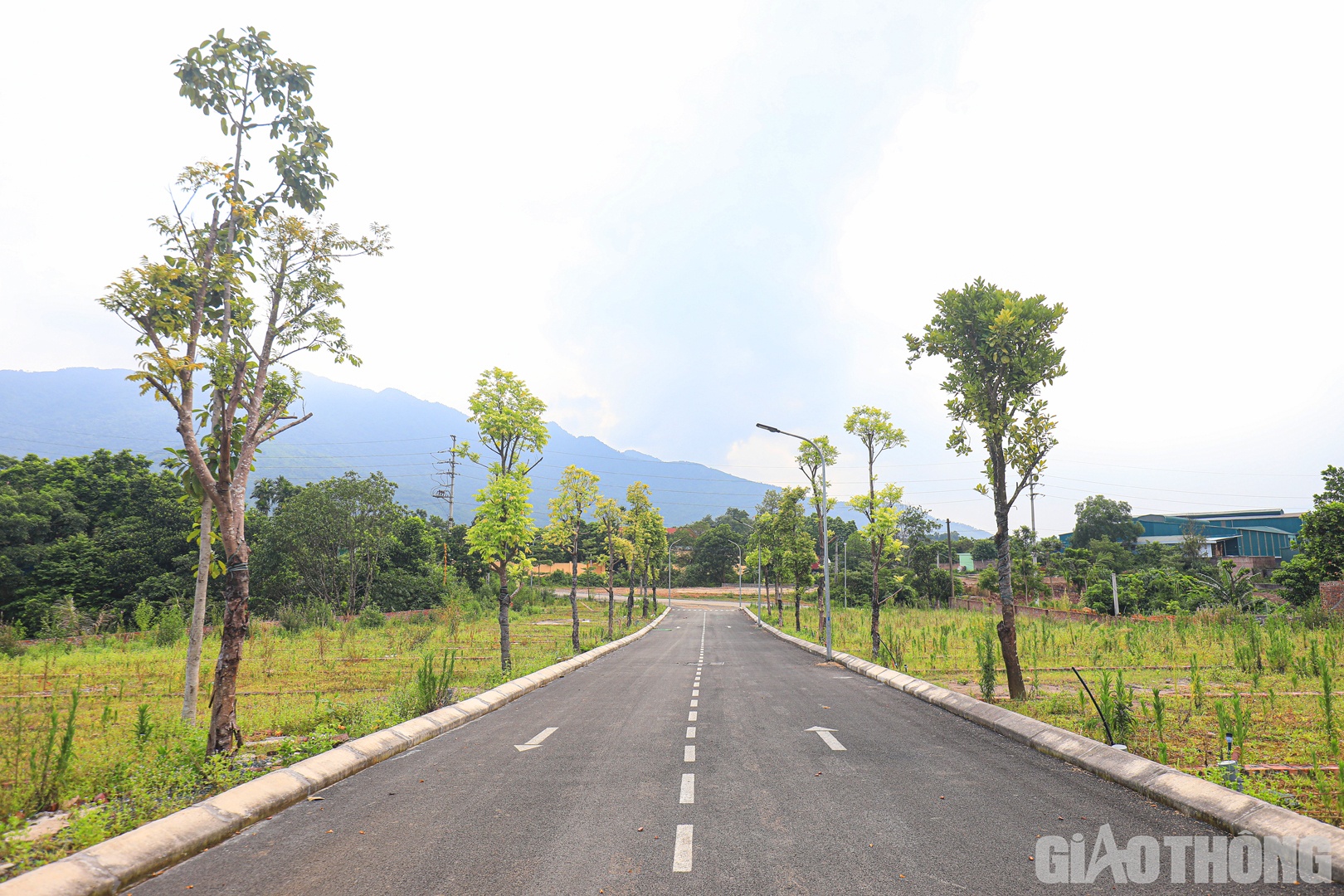 Theo ông Nguyễn Quốc Anh, Phó Tổng giám đốc Công ty CP Property Guru Việt Nam, mặc dù sự quan tâm đến BĐS có dấu hiệu “giảm nhiệt” tại nhiều tỉnh thành trong quý II/2022 so với cùng kỳ năm 2021 nhưng trong ngắn hạn sẽ khó có khả năng giá bất động sản giảm.