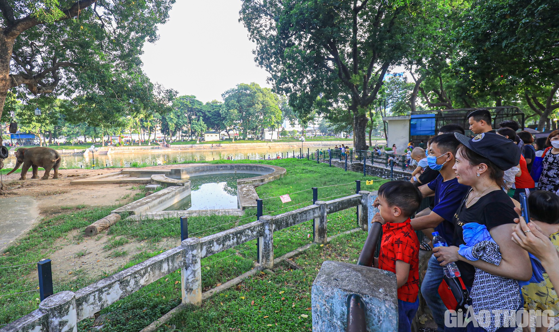 Nhiều gia đình đứng từ xa quan sát chuồng voi. Chị Nguyễn Thị Thảo (huyện Đan Phượng) chia sẻ: "Thay vì đi chơi xa, tôi lựa chọn công viên Thủ Lệ làm điểm đến để cho các con được khám phá, tìm hiểu về các loài động vật hoang dã. Mặc dù vậy, ở đây vẫn chưa có nhiều loài mới so với những năm trước".