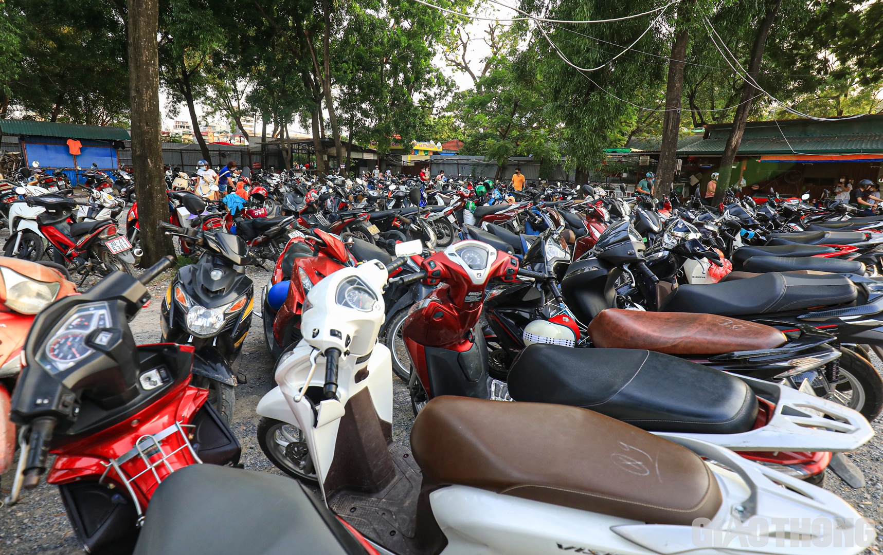 Bãi gửi xe công viên Thủ Lệ chật kín phương tiện.
