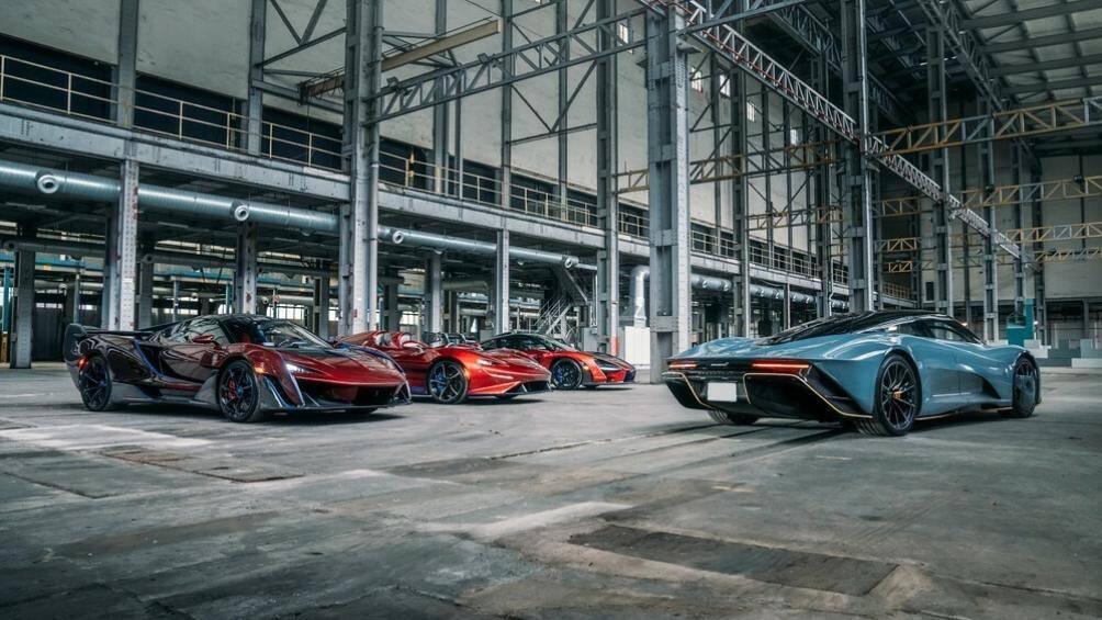 Nữ doanh nhân này còn làm chủ những chiếc siêu xe mang các thương hiệu khác như Pagani, Koenigsegg, Ferrari