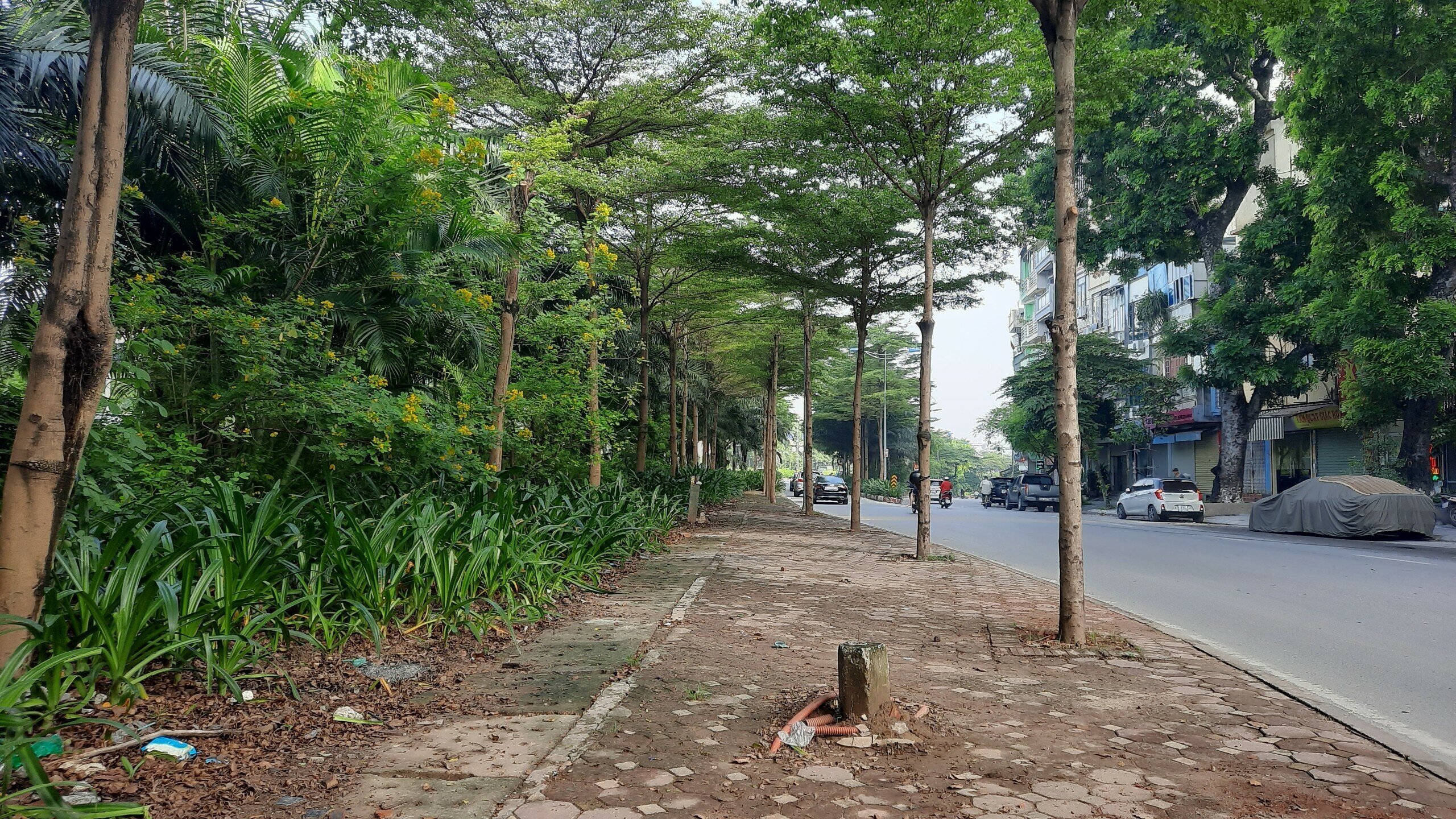 Sau gần 2h xử lý xe vi phạm đỗ dừng, vỉa hè giáp ranh đường Bưởi và Vành đai 2 đã được trả lại sự thông thoáng.