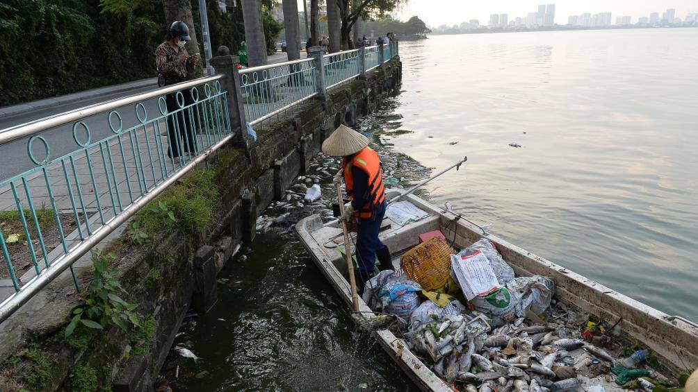 "Việc vớt cá này hoàn toàn bình thường nhưng sau đó đóng bao, đưa lên xe rác mới vất vả...", một công nhân làm nhiệm vụ vớt cá chia sẻ.