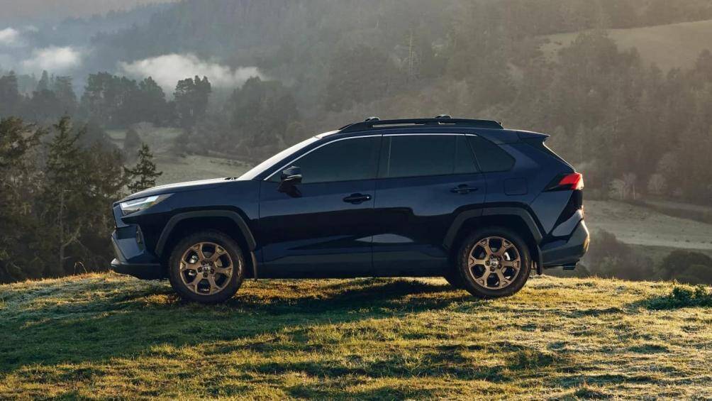 7. Toyota RAV4 Woodland Edition