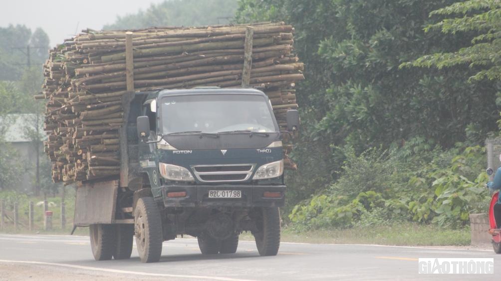 Thời gian gần đây, người dân huyện miền núi Hương Khê phản ánh, trên tuyến đường mòn Hồ Chí Minh đoạn qua địa bàn xã Phúc Trạch, huyện Hương Khê thường xuyên xuất hiện các xe tải tự ý hạ thành thùng để chở gỗ keo tràm cao ngất ngưởng lưu thông trên tuyến.