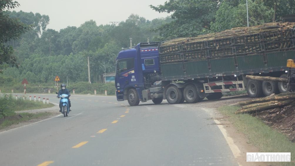 Gỗ keo được bốc xếp sang các xe đầu kéo tại các bãi tập kết.