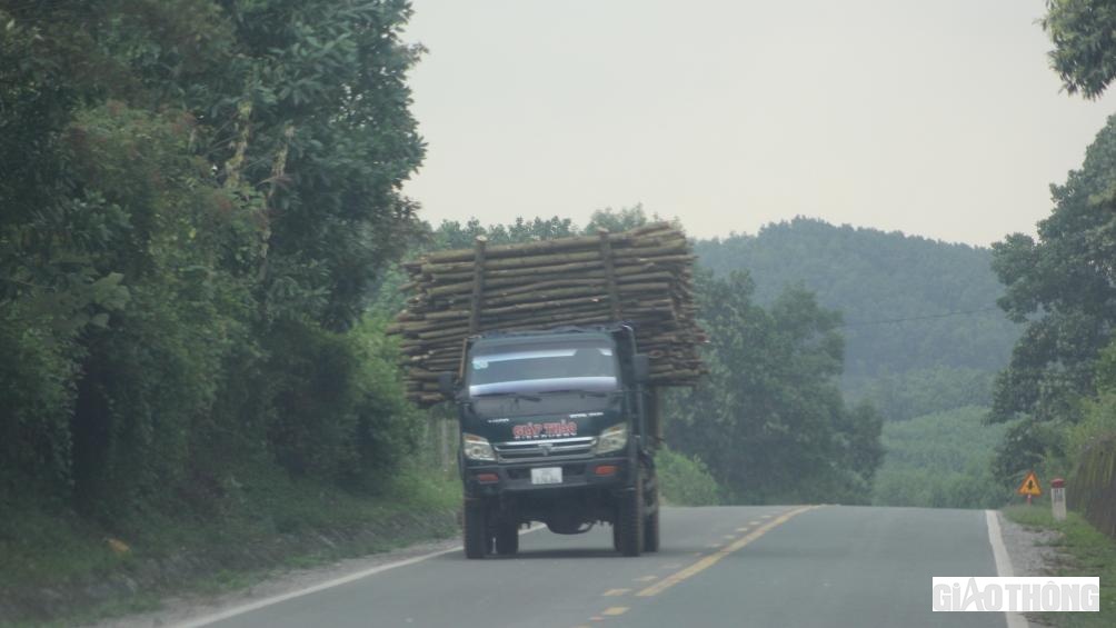 Theo lãnh đạo Đội CSGT đường mòn Hồ Chí Minh, thời gian vừa qua, đội đã tuyên truyền cho người dân có xe chở gỗ keo tràm không được chở quá khổ; tuyên truyền các điểm thu mua gỗ không tiếp nhận những trường hợp có dấu hiệu chở quá khổ quá tải. Tuy nhiên, do hệ thống các tuyến đường liên thôn, liên xã nhiều nên có trường hợp canh giờ đi tuần tra của lực lượng CSGT nhằm né chốt.