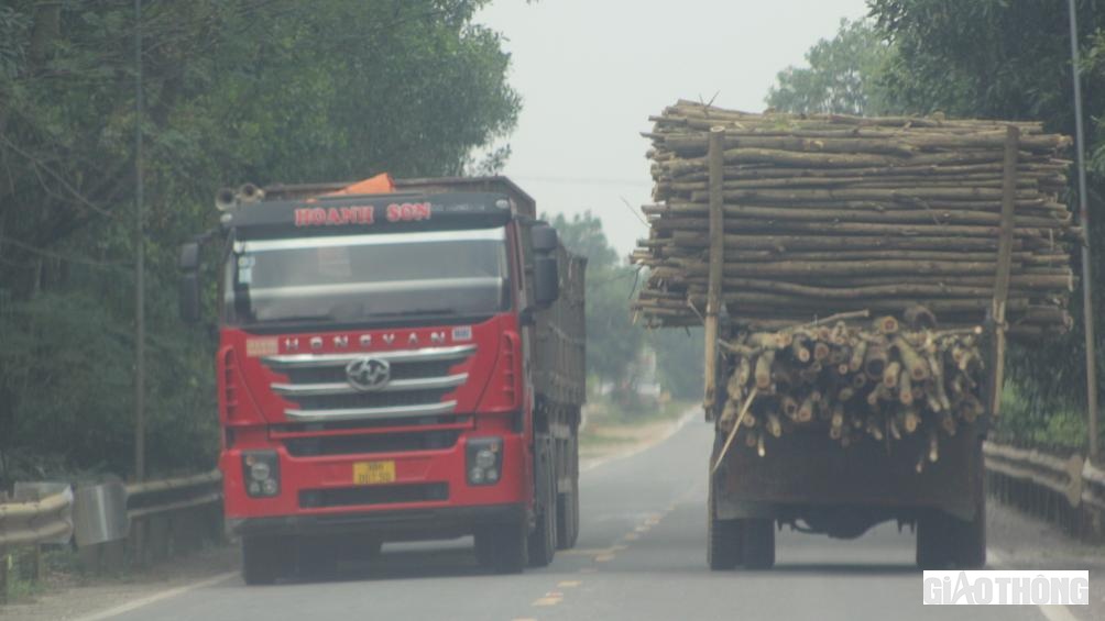 PV dễ dàng ghi nhận hình ảnh xe chở quá khổ trên tuyến đường mòn Hồ Chí Minh, đoạn qua địa bàn xã Phúc Trạch.