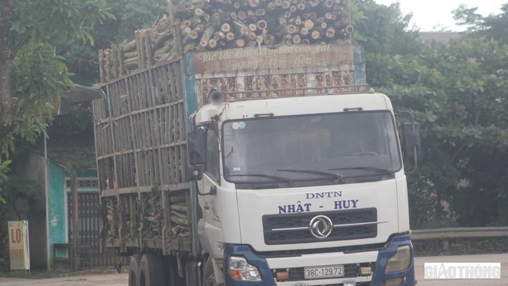 Hình ảnh những chiếc xe chất đầy gỗ keo xuất hiện nhan nhản tại huyện miền núi Hương Khê.