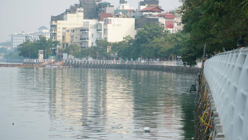 Cá chết trắng, nằm rải rác trên mặt hồ Tây.