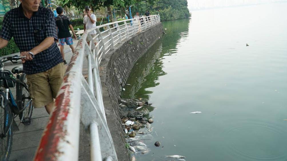 "Mỗi lần người dân chúng tôi đi tập thể dục hay đi qua khu vực này là không thể chịu được do mùi hôi thối bốc lên nồng nặc, ruồi nhặng bâu kín. Vài tuần trước có đơn vị thoát nước đến vớt cá đi xử lý nhưng ngày nào cá cũng chết thì phải tìm ra nguyên nhân", một người dân cho hay.