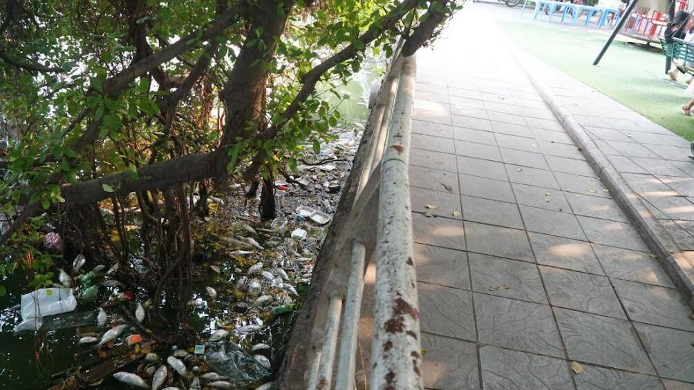 Ngoài ra, ven bờ và cả dưới nước hồ Tây cũng xuất hiện rất nhiều rác gây ô nhiễm.