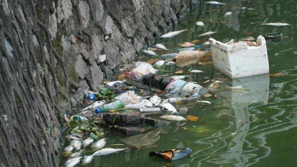 Rác thải nhựa, rác thải sinh hoạt cũng trôi dạt vào bờ