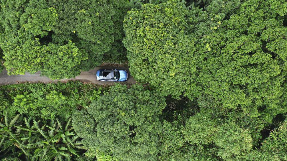 Động cơ V6 dung tích 2,9 lít mới sản sinh công suất 410 mã lực và mô-men xoắn lên tới 550 Nm