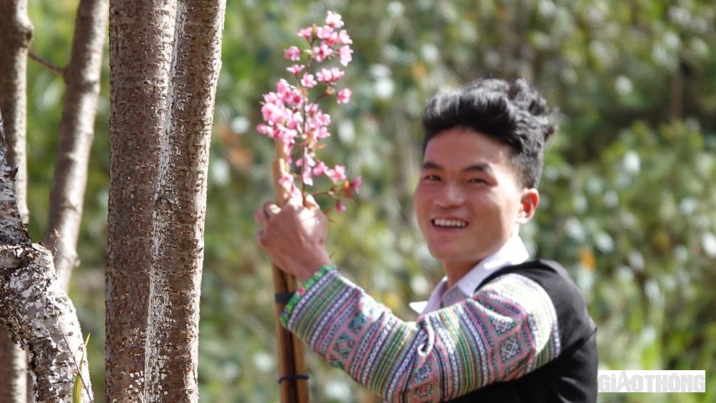 Chàng trai người Mông hái những bông hoa tớ dày tặng những cô gái mình yêu thương.