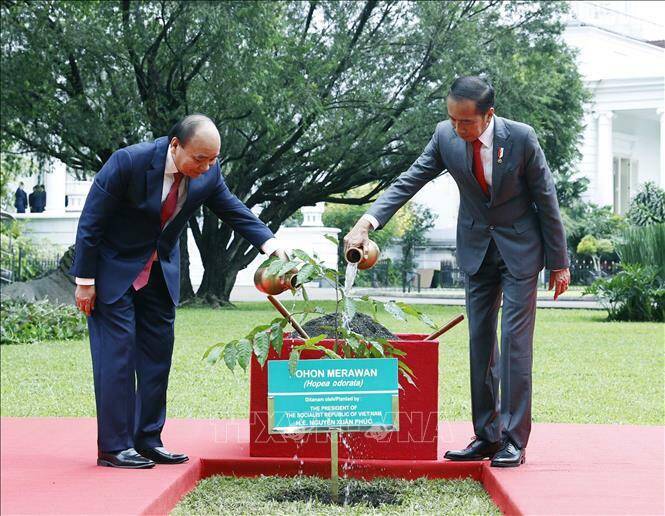 Chủ tịch nước Nguyễn Xuân Phúc và Tổng thống nước Cộng hòa Indonesia Joko Widodo trồng cây lưu niệm. Tiếp đó, hai nhà lãnh đạo dẫn đầu đoàn đại biểu cấp cao hai nước hội đàm, đánh giá những kết quả hợp tác đạt được những năm qua, thảo luận định hướng làm sâu sắc hơn mối quan hệ đối tác chiến lược Việt Nam - Indonesia. Ảnh: Thống Nhất/TTXVN