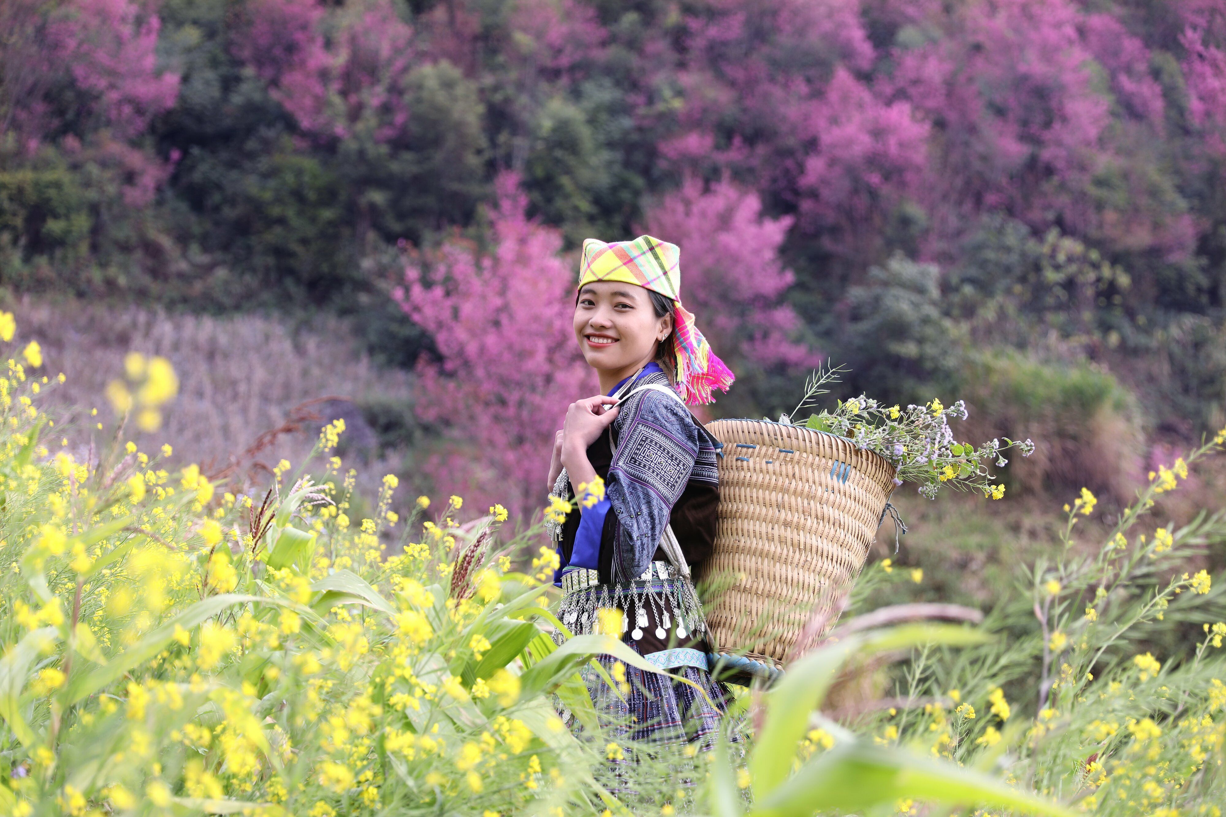 Đông đảo du khách đắm mình trong sắc đỏ của hoa đào tớ dày.