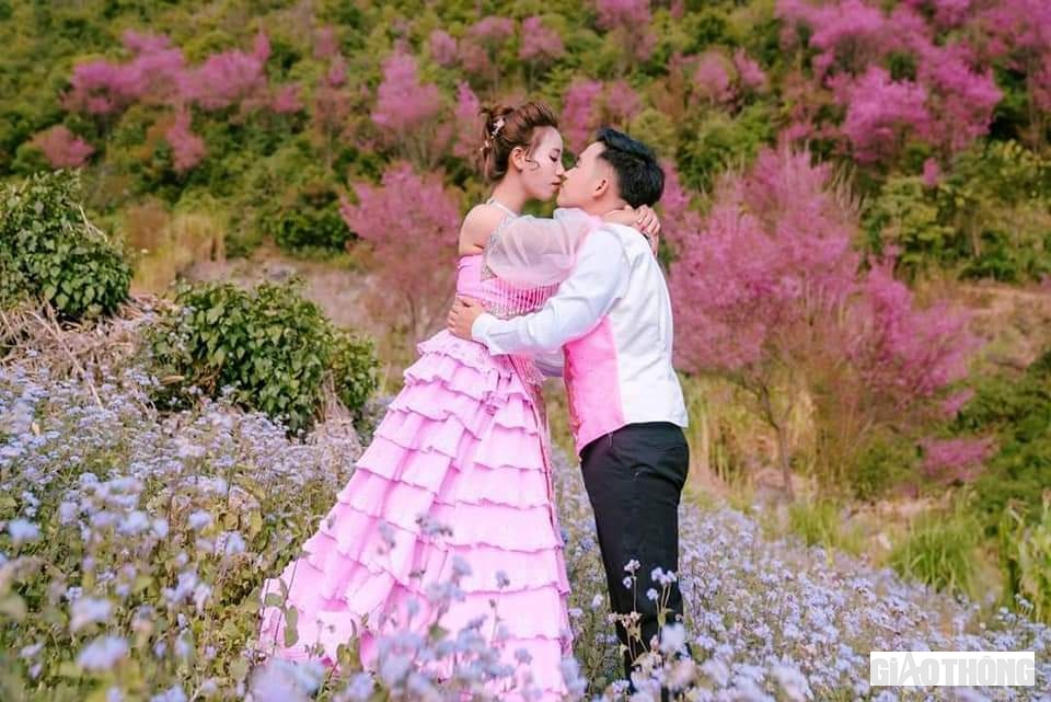 Đôi bạn trẻ đến với Mù Cang Chải chụp ảnh cưới bên rừng hoa tớ dày.