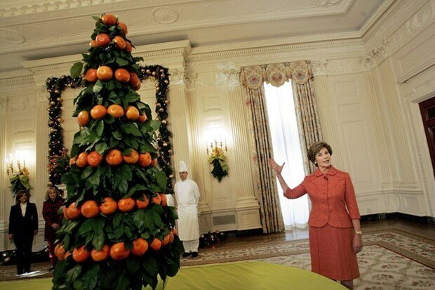 Cựu Đệ nhất phu nhân Laura Bush đứng cạnh cây thông độc đáo trang trí từ quả quýt, lá chanh tại phòng phía Đông của Nhà Trắng trong mùa Giáng sinh năm 2005. Ảnh - Whitehousehistory