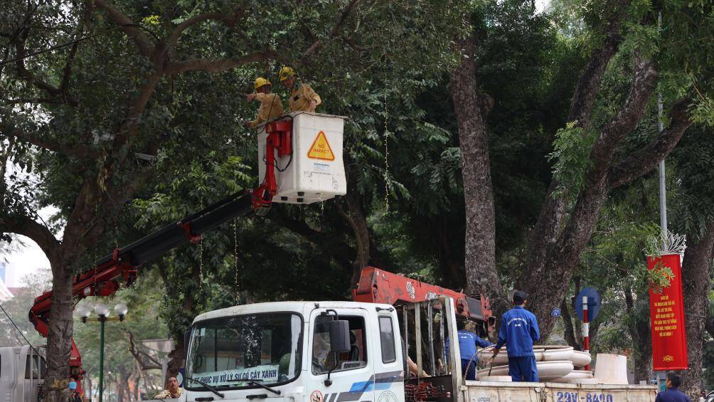 Hệ thống đèn trang trí cũng được lắp đặt trên các tán cây xanh để tạo điểm nhấn cho không gian phố đi bộ