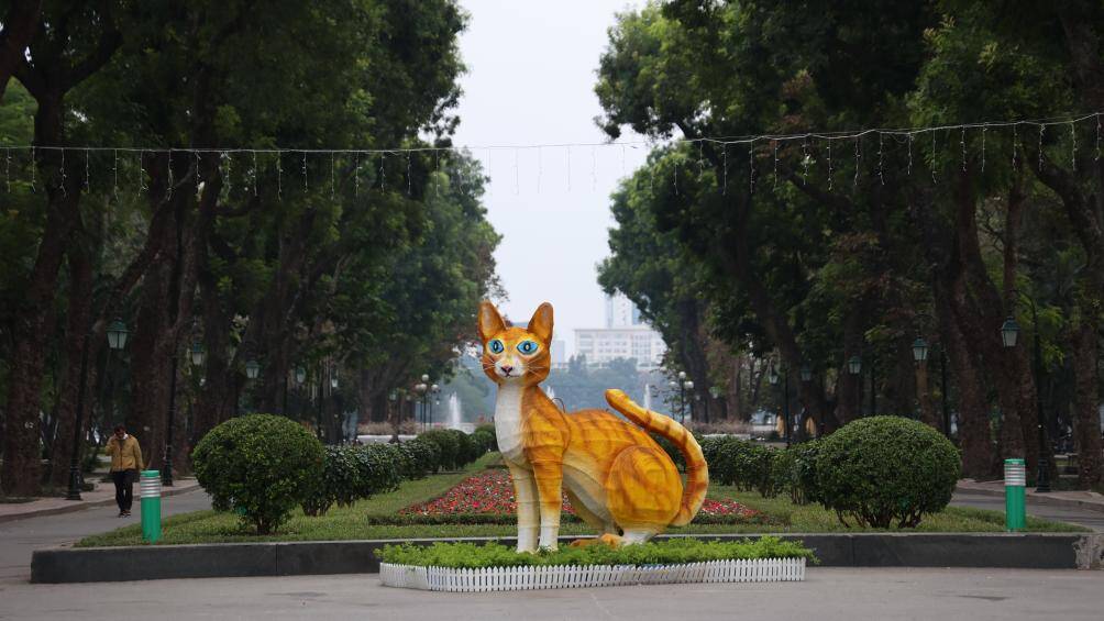 Theo đại diện UBND quận Hai Bà Trưng, không gian đi bộ quanh hồ Thiền Quang bao gồm khu vực phố Trần Nhân Tông (đoạn từ phố Quang Trung đến Trần Bình Trọng) và khu vực phụ cận (công viên Thống Nhất, vườn hoa, đường dạo quanh hồ Thiền Quang, Nhà văn hoá Thanh thiếu niên...).