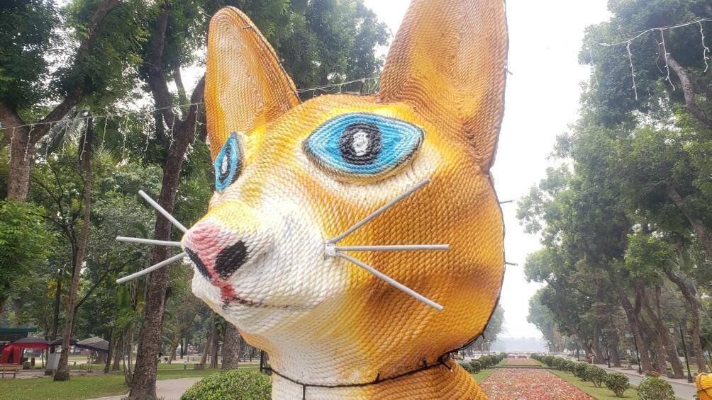 "Thời gian qua, khi cắt cây đi, Công ty đã mua dây nilon về để công nhân tự quấn, vẽ thành hình con mèo như hiện nay, chi phí khoảng 3-4 triệu đồng", vị đại diện cho hay.