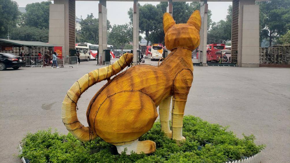 Thân hình gầy gò, bụng to khiến dáng ngồi của mèo bị mất cân đối. Ngoài ra, mặt và râu của mèo cũng khiến nhiều người nghĩ là mặt cáo, râu chuột.