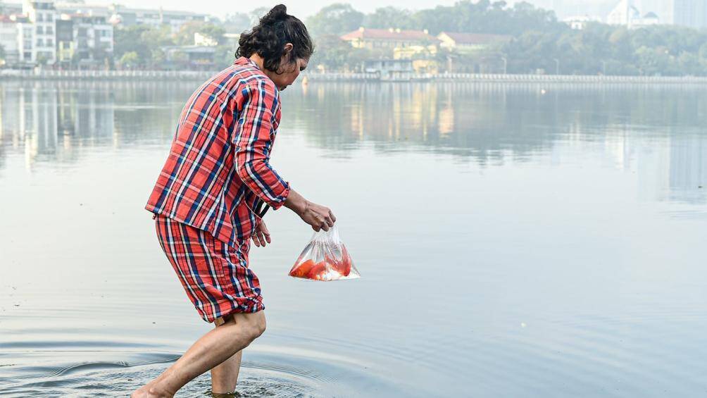 Theo ghi nhận của PV, ngo&agrave;i việc &ocirc; nhiễm, c&aacute; chết th&igrave; xung quanh khu vực hồ T&acirc;y to&agrave;n nilon được người d&acirc;n vứt lại. C&oacute; người d&acirc;n phải lội ra ngo&agrave;i nước để thả c&aacute;.