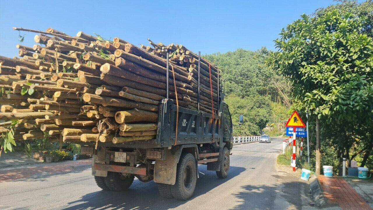 Thực tế, thời gian gần đây, trên nhiều tuyến đường ở Quảng Ninh từ quốc lộ đến đường huyện, đường xã, xe chở gỗ, dăm gỗ vượt quá thành, thùng diễn ra phổ biến, nhất là trên tuyến Quốc lộ 18A, Quốc lộ 279…