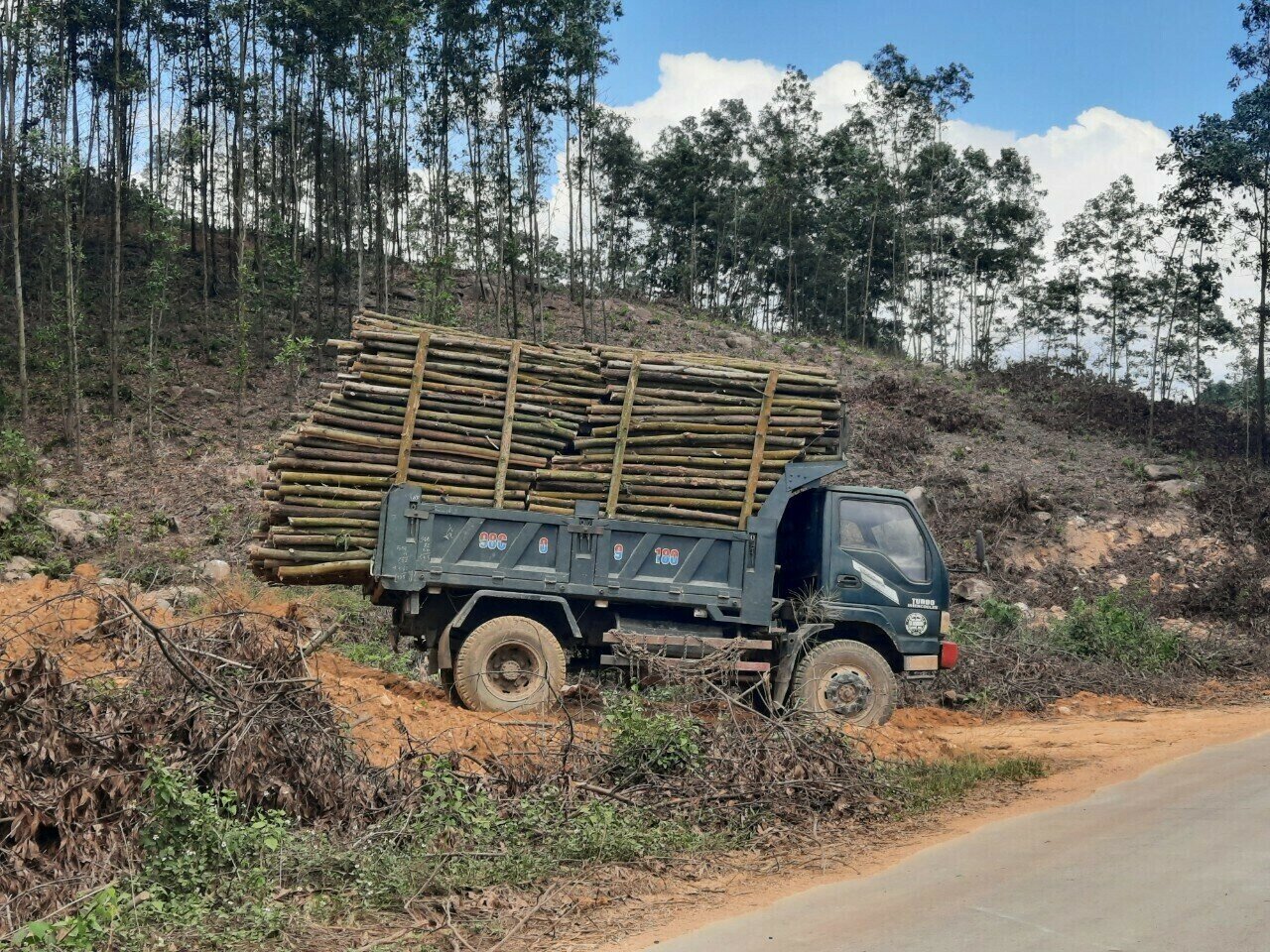Ngoài ra, nhiều phương tiện chở dăm gỗ không chỉ nghi vấn quá tải mà còn gây ô nhiễm môi trường trên một số cung đường. Ảnh: Chiếc xe này chở gỗ lưu thông trên tuyến đường từ trung tâm TP Uông Bí vào xã Thượng Yên Công vượt quá nhiều so với quy định.