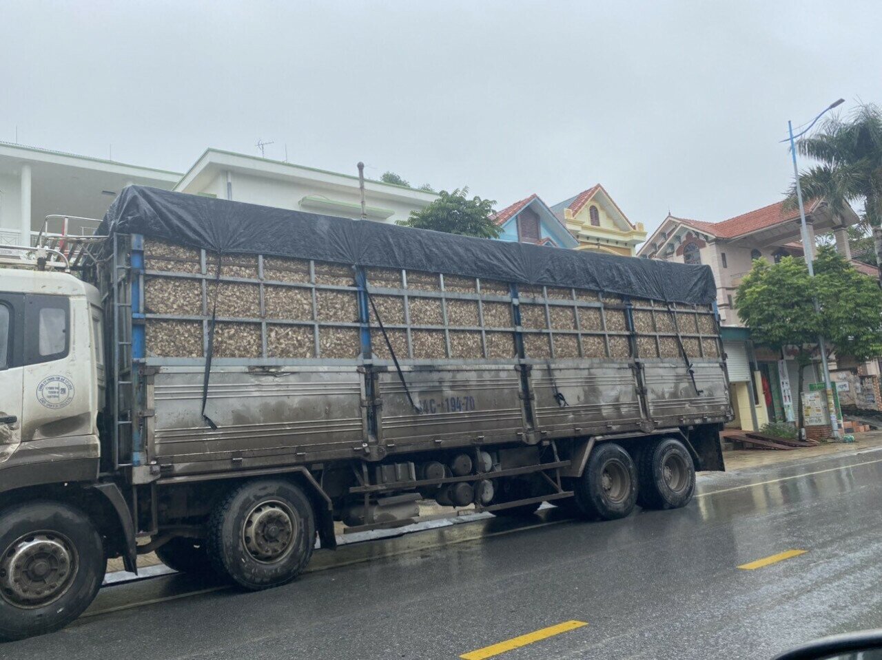 Nhiều chiếc xe chở dăm gỗ trên Quốc lộ 279, đoạn qua địa bàn TP Hạ Long phủ bạt chỉ một phần đã làm dăm gỗ rơi vãi xuống đường, bay vào mắt người điều khiển xe thô sơ, xe gắn máy.