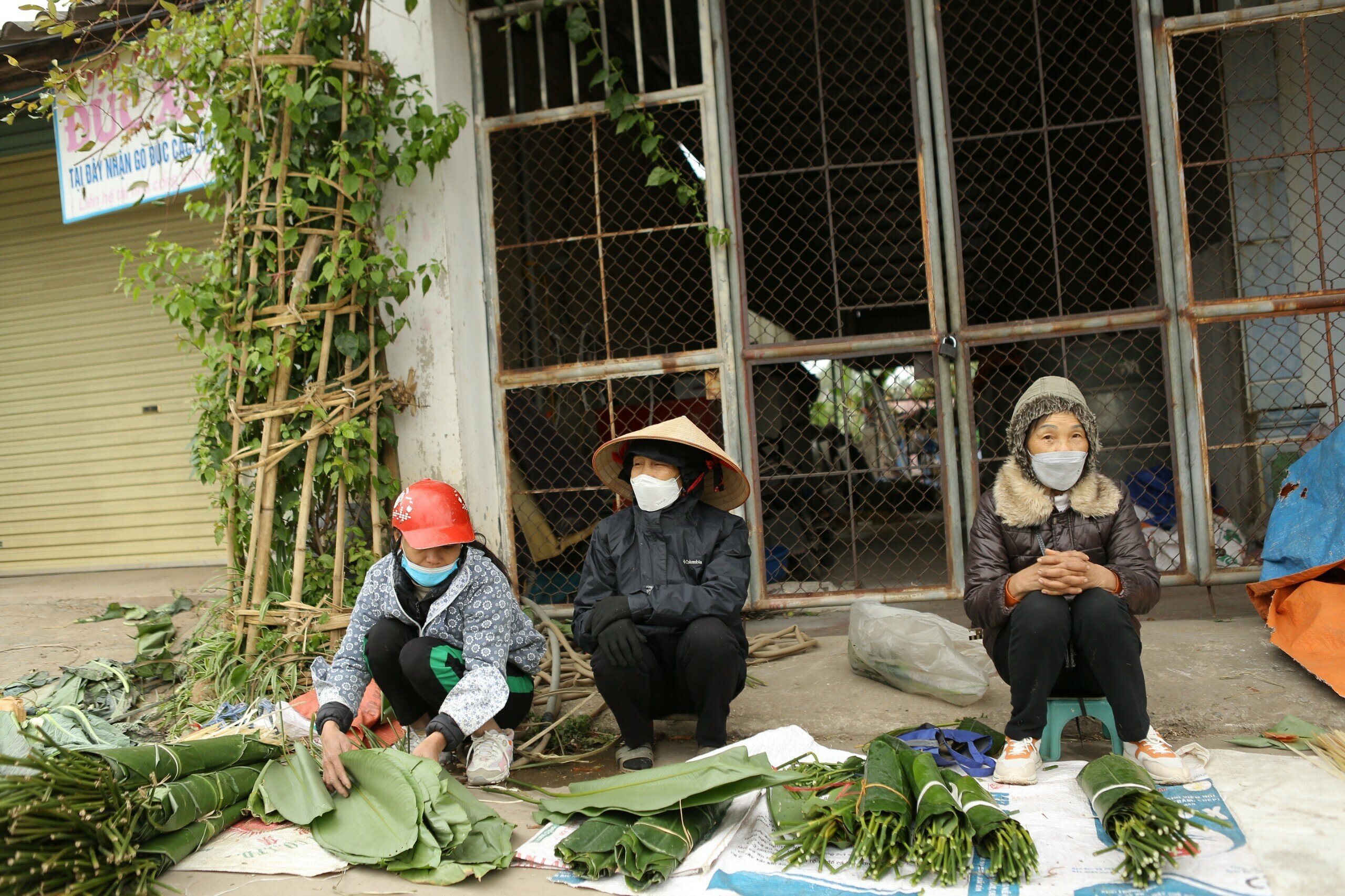 Mặt hàng dễ nhận biết không khí Tết đang về nhất chính là lá dong, một nguyên liệu không thể thiếu để gói bánh chưng.