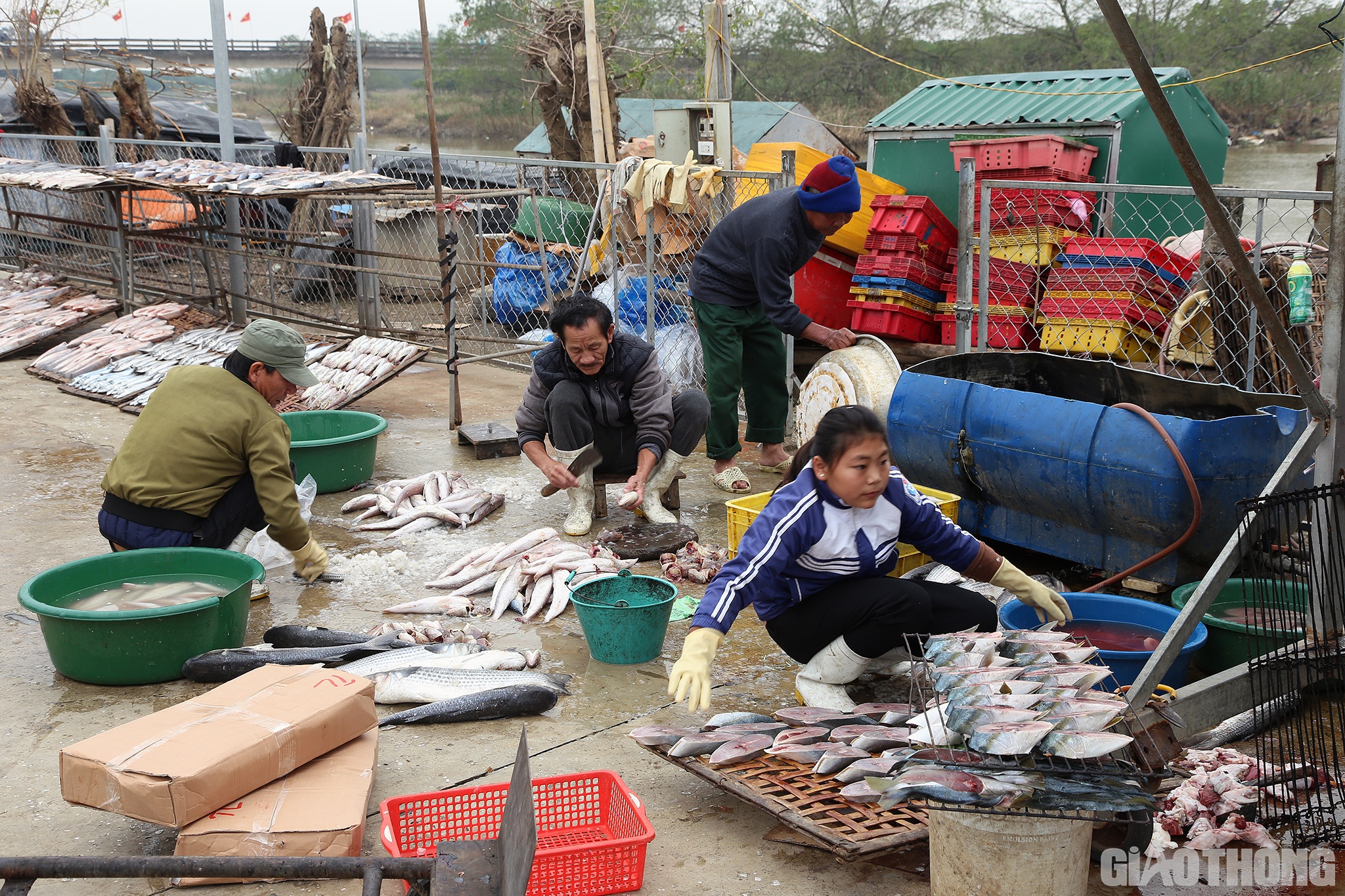 Những ngày cuối năm Nhâm Dần (2022), PV Báo Giao thông có mặt tại làng Trung Hậu (thuộc xã Diễn Vạn, huyện Diễn Châu, tỉnh Nghệ An). Khi cách làng còn xa, chúng tôi đã ngửi thấy mùi thơm lừng của cá nướng bốc lên từ hàng chục lò than nướng nằm dọc các trục đường chính trong làng.