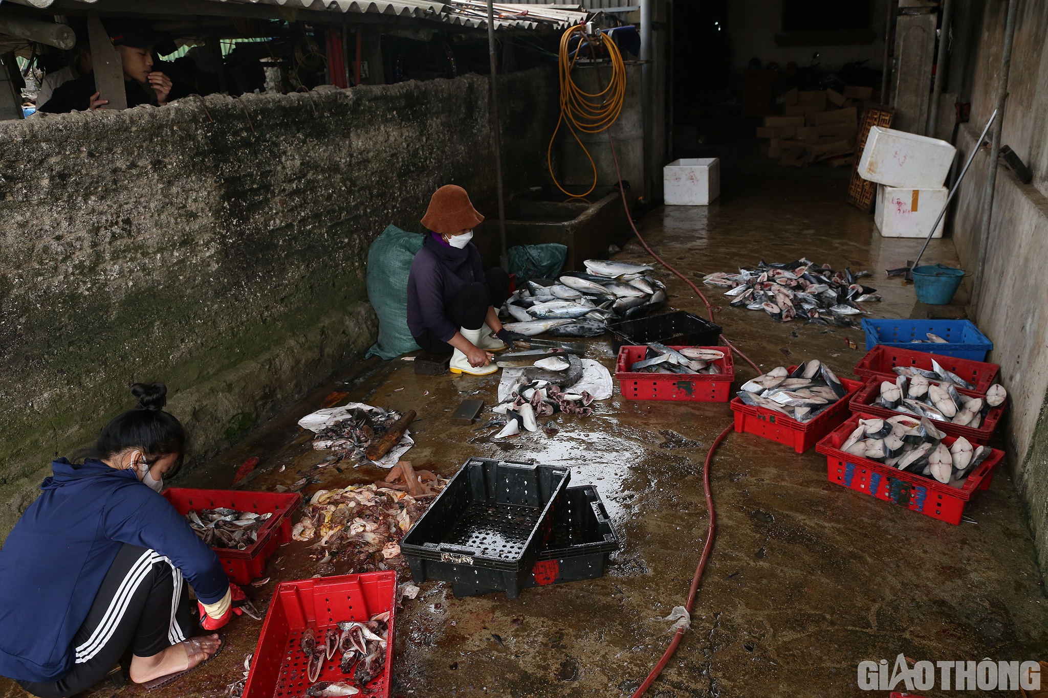 Hầu hết chủ các lò đều không làm nghề biển, nhưng nướng cá đã là nghề truyền thống lâu đời của người dân nơi đây. Nhiều gia đình đã truyền lại nhiều thế hệ, từ đời này sang đời khác.
