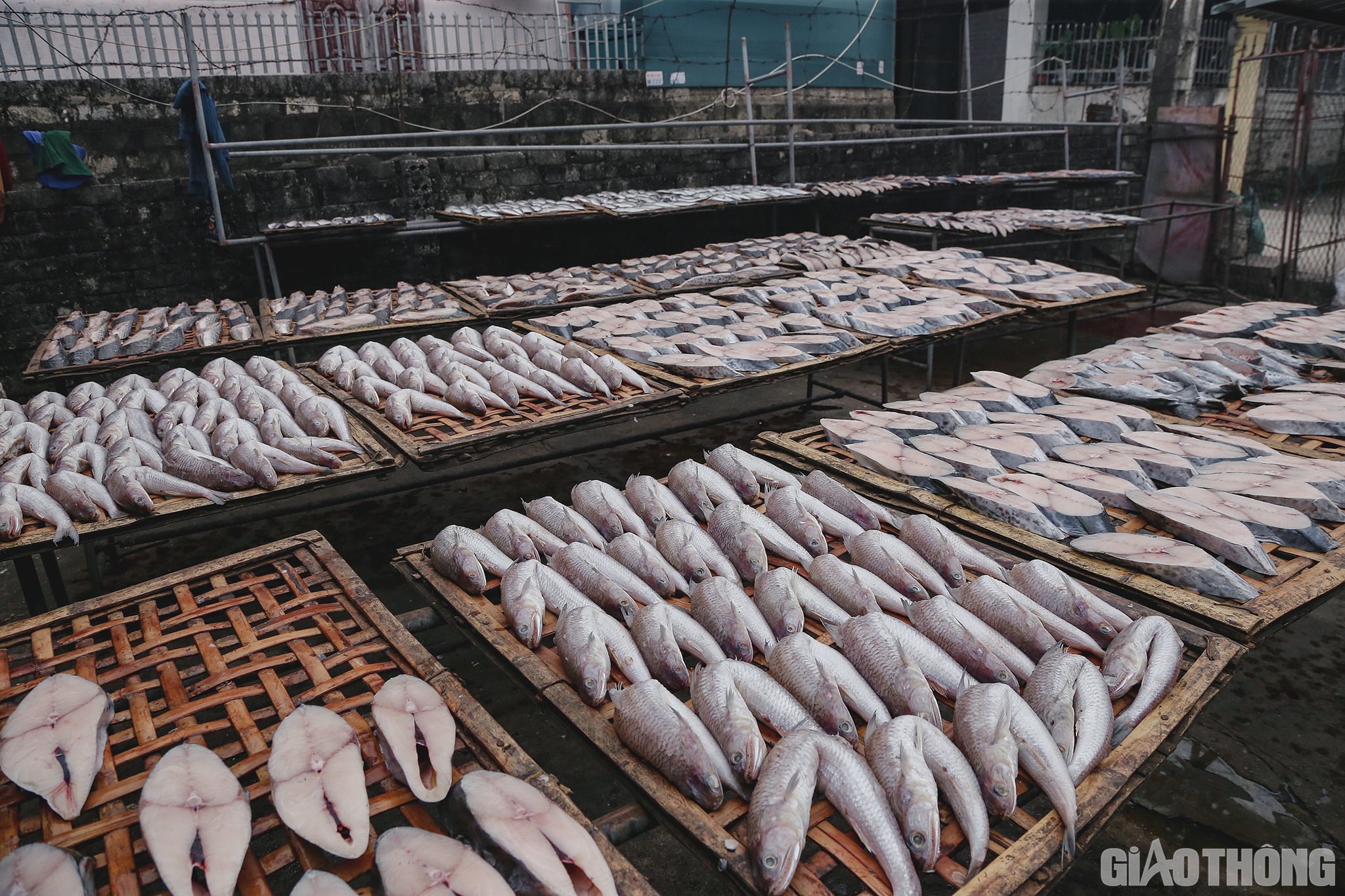 “Bình thường gia đình nướng khoảng hơn 2 tạ cá, đủ các loại, từ kích thước nhỏ như cá trích, cơm... Thế nhưng, đến gần Tết, do nhu cầu của khách hàng nên gia đình chỉ làm các loại cá to như cá thu, cá lượng… khối lượng cũng lên đến hơn 4 tạ”, anh Long nói và cho biết thêm: