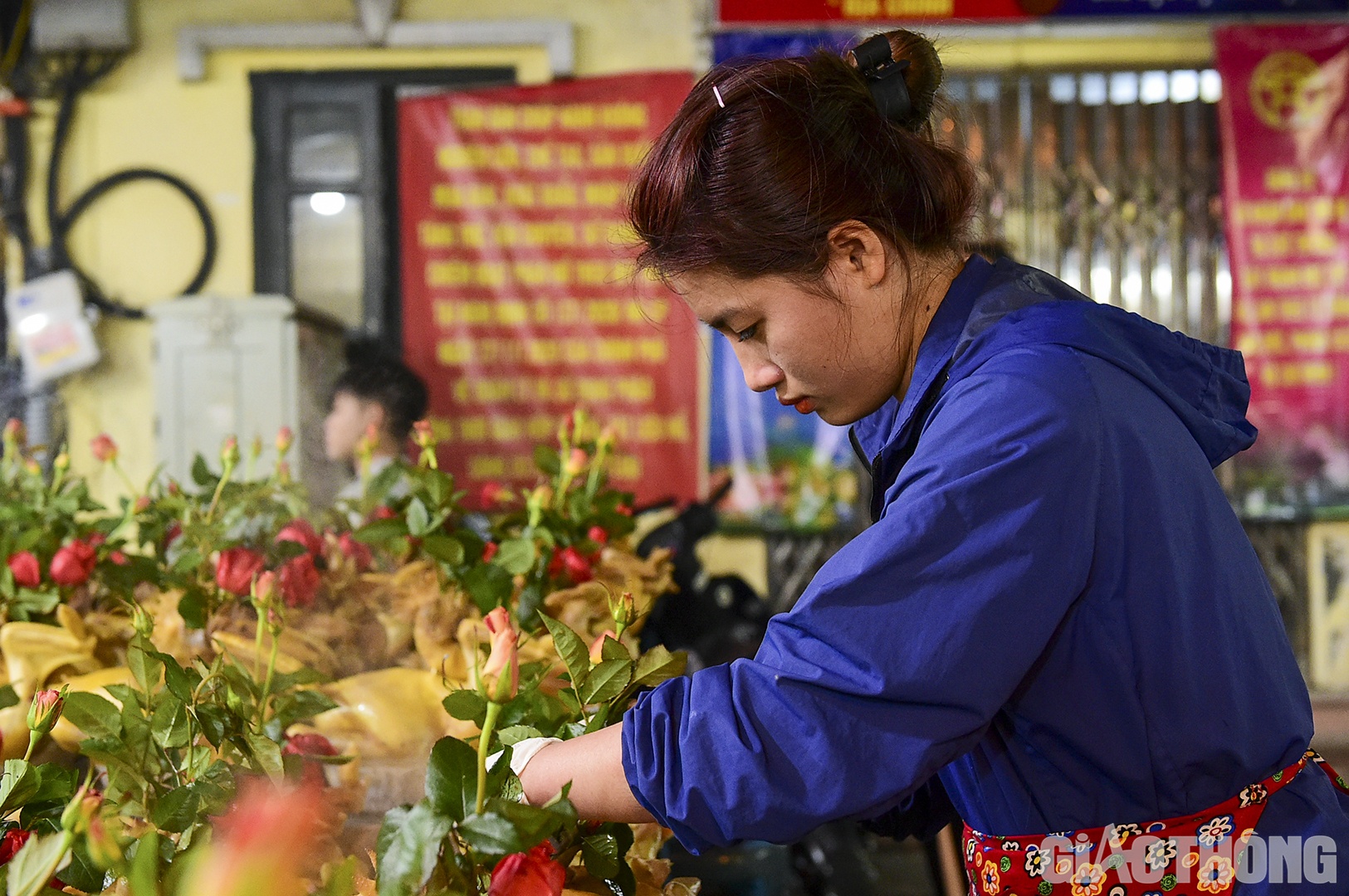 Mỗi con gà ngậm hoa hồng năm nay có giá dao động khoảng 500.000 đến 800.000 đồng/con, tùy theo kích cỡ và cân nặng.